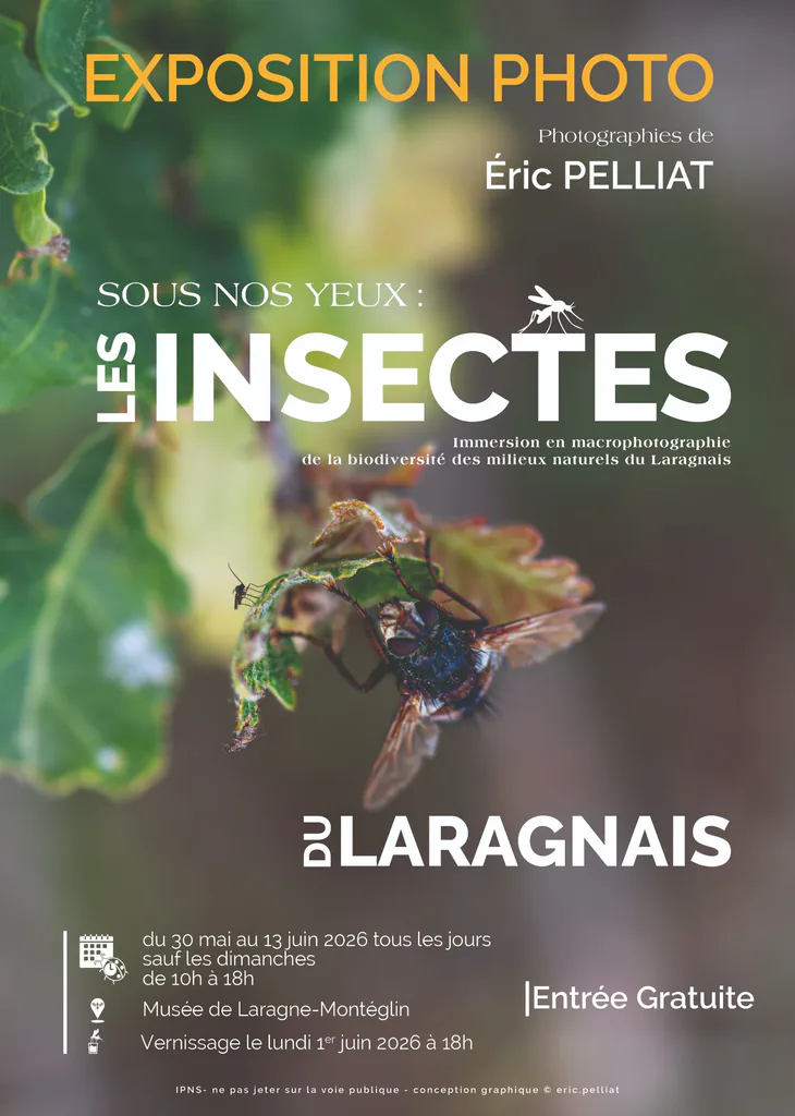 Affiche de l’exposition photo « Sous nos yeux : les insectes du Laragnais » d’Éric Pelliat, insecte en macro