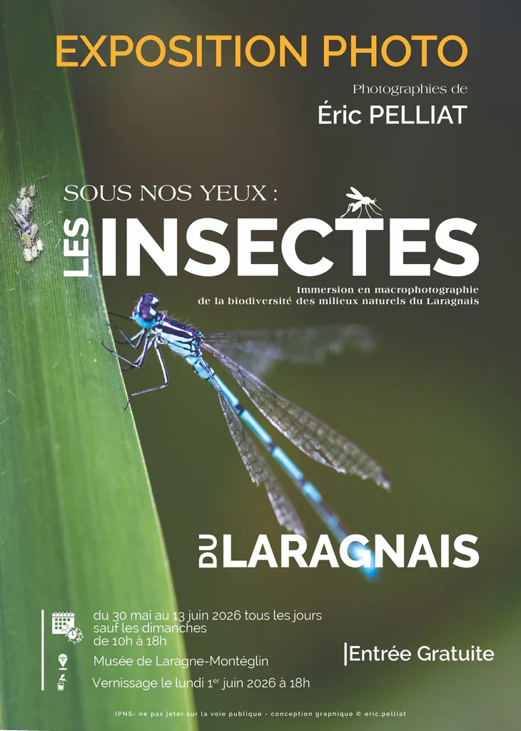 Affiche de l’exposition photo « Sous nos yeux : les insectes du Laragnais » d’Éric Pelliat, demoiselle bleue