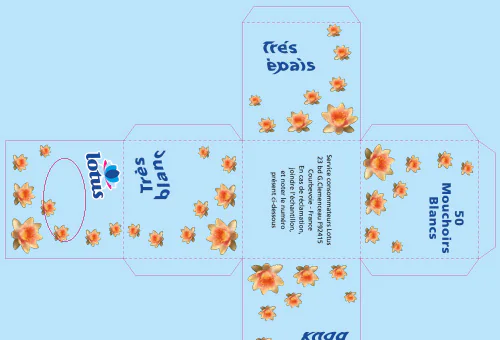 Plan de découpe d’une boîte de thé « frès kpais »