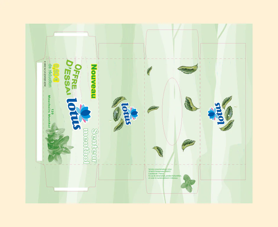 Étui rectangulaire lotus menthe, plan de découpe