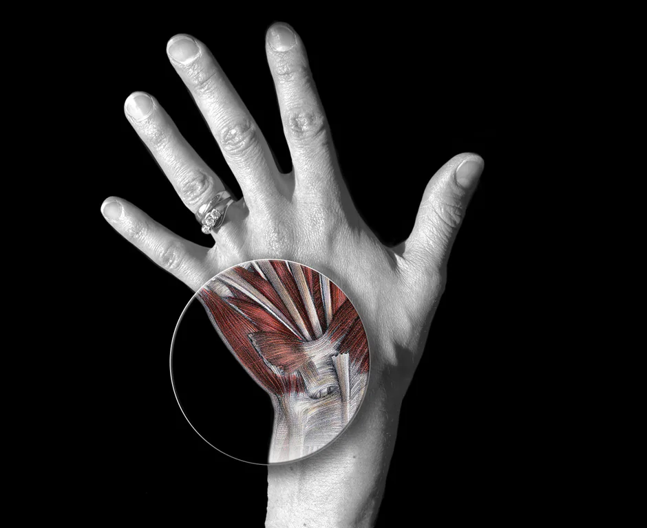 Photomontage : main dont la paume laisse voir muscles et tendons à travers une loupe