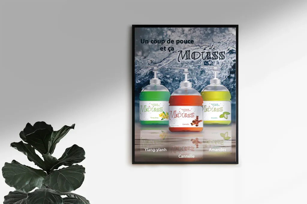 Poster de présentation de la gamme Mouss